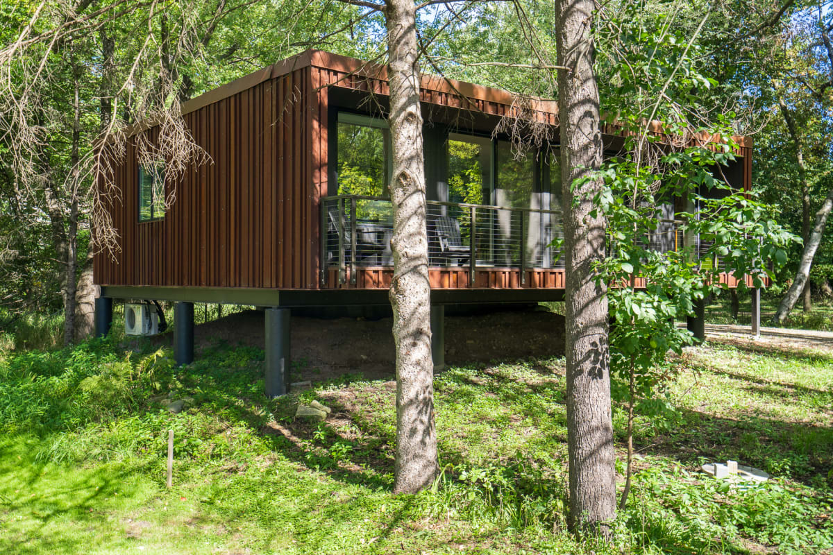Modern elevated cabin nestled among mature trees, featuring warm wood siding and expansive windows in a peaceful forest setting.