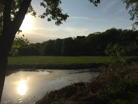Sunset over a calm river with trees on one side and green fields in the distance.