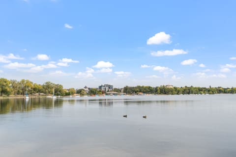 Lakeside scene featuring sailboats, ducks, and trees under a blue sky with fluffy clouds.