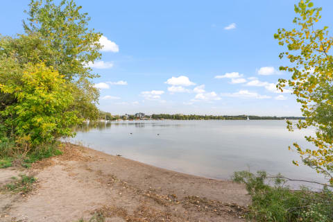 Lakeside view with sandy beach, trees, and ducks swimming.