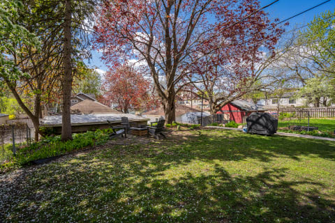 A serene backyard with a large red-leaved tree, a seating area, and a red shed in the background.