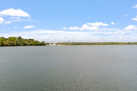 A serene lake view featuring green trees and distant sailboats under a blue sky.