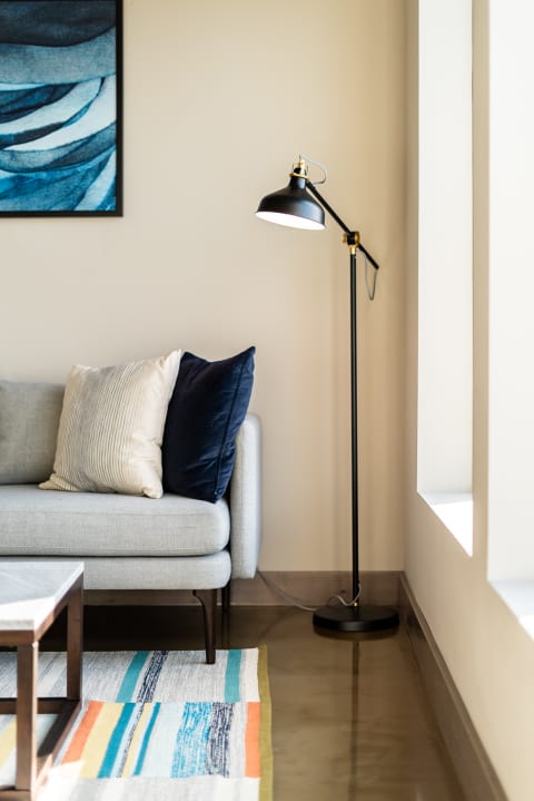 Cozy living room corner featuring a light gray sofa with colorful cushions and a black floor lamp.
